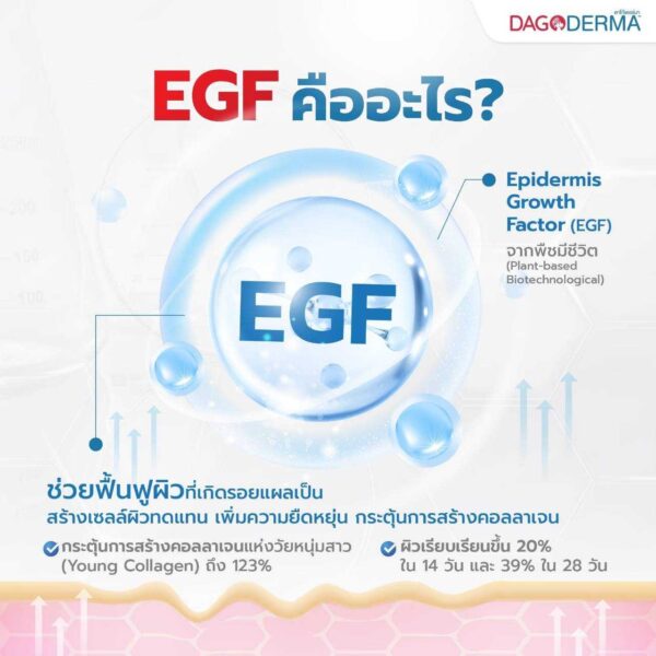 DAGODERMA Scar Emulgel ครีมลดรอยแผลเป็น ขนาด 15 g. (แพ็คคู่/ Pack of 2) - Image 4